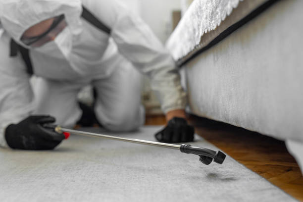 Professional Cockroach Control technician working in Ravenna, MI