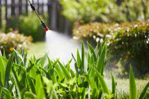 24/7 Emergency Cockroach Control experts in Ravenna, MI